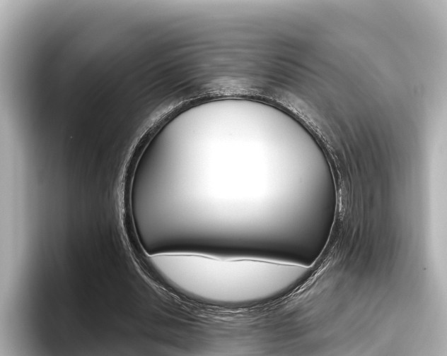 X0000096680438200802051033