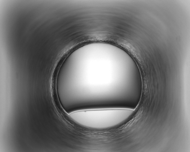 X0000096680439200802051033