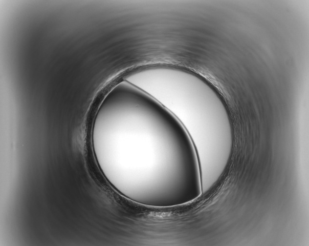 X0000096680440200802051033