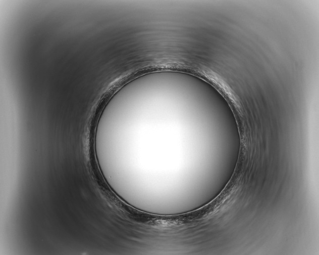 X0000096680442200802051033
