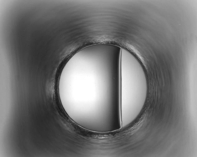 X0000096680443200802051033