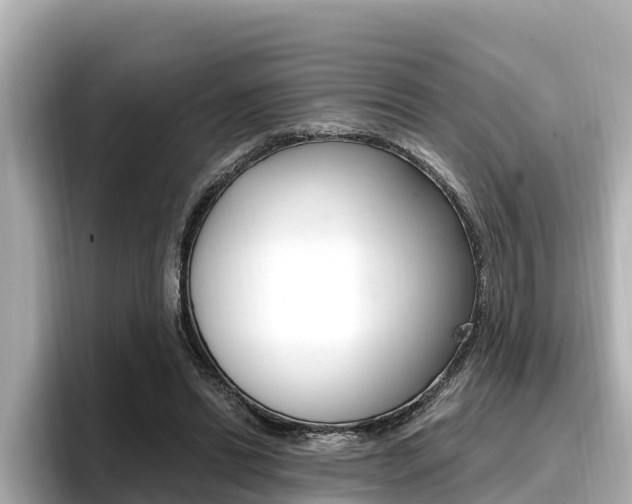 X0000096680446200802051033