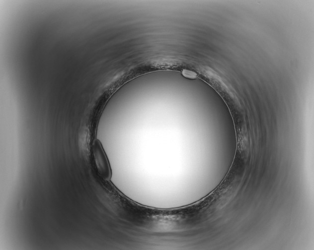 X0000096680448200802051033
