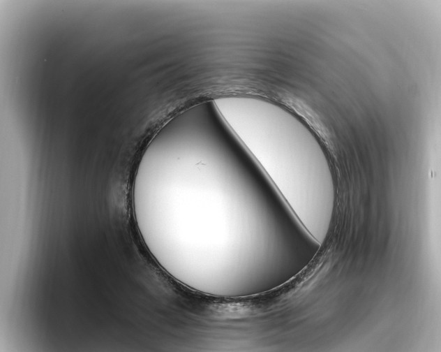 X0000096680449200802051033