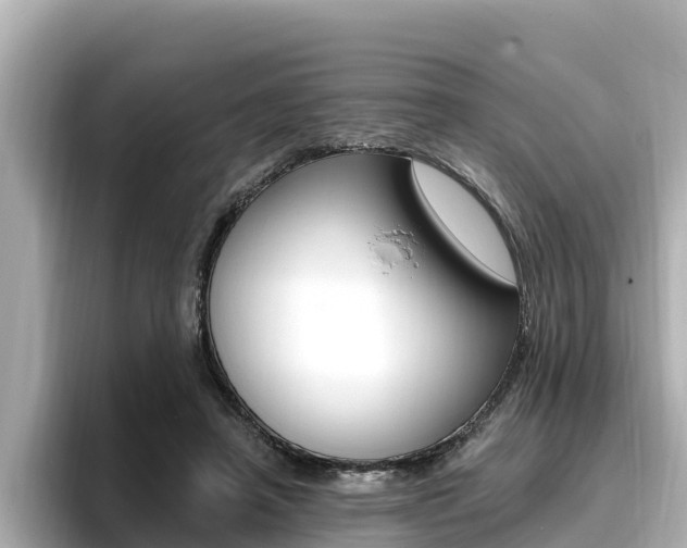 X0000096680450200802051033