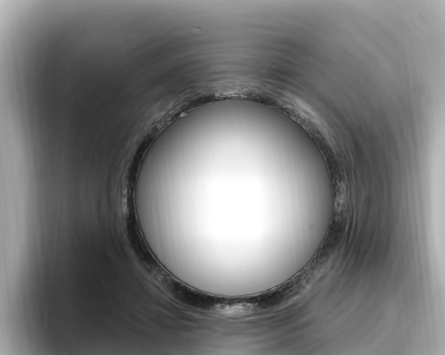 X0000096680452200802051033