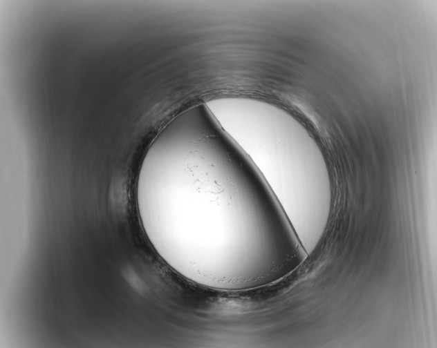 X0000096680455200802051033