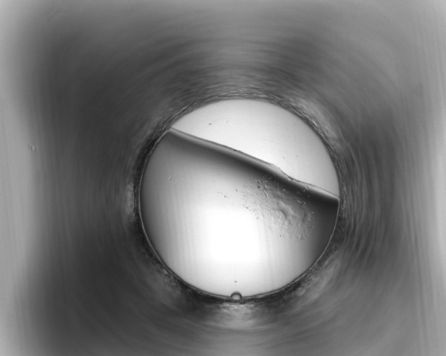 X0000096680457200802051033