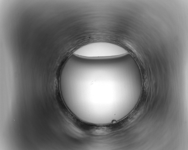X0000096680459200802051033