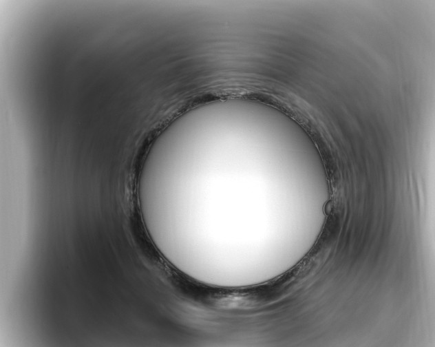 X0000096680460200802051033