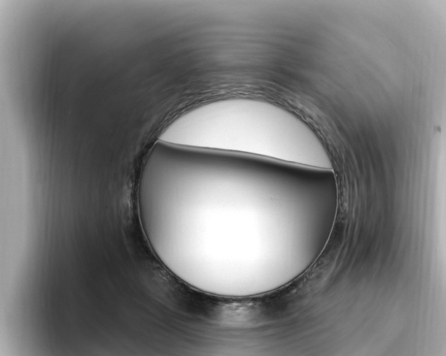 X0000096680461200802051033