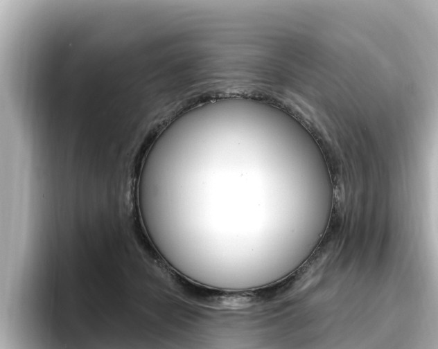 X0000096680462200802051033