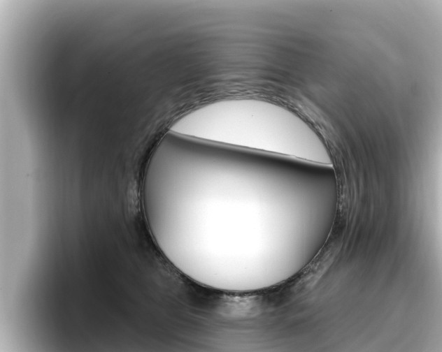 X0000096680469200802051033