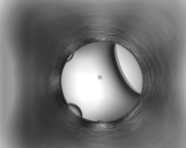 X0000096680473200802051033