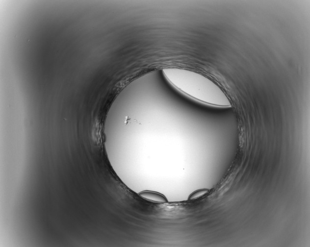 X0000096680477200802051033