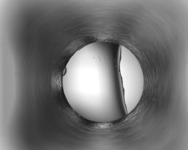 X0000096680479200802051033