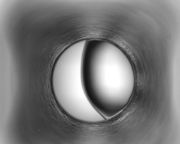 X0000096680481200802051033