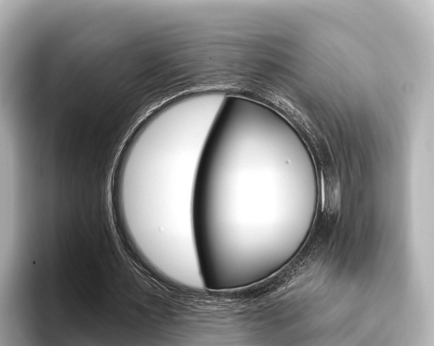 X0000096680483200802051033