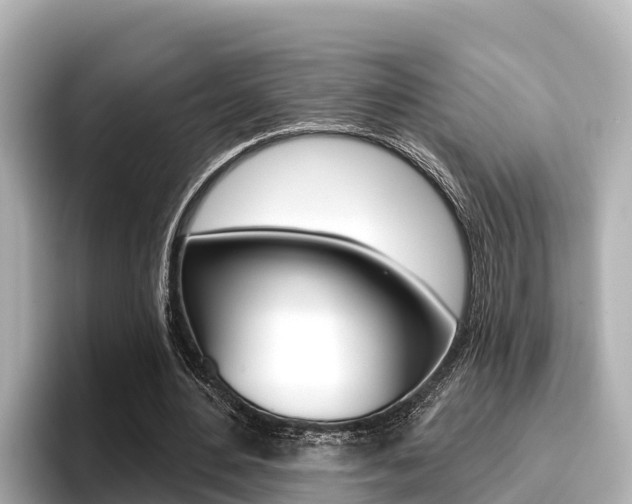 X0000096680484200802051033