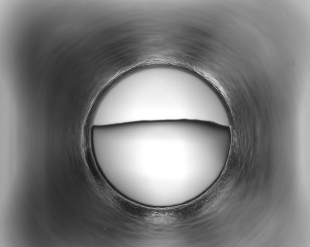 X0000096680487200802051033