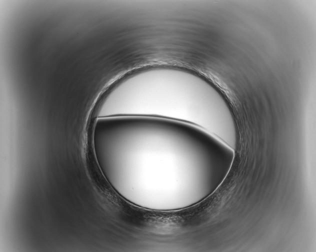 X0000096680488200802051033