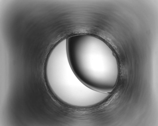 X0000096680489200802051033