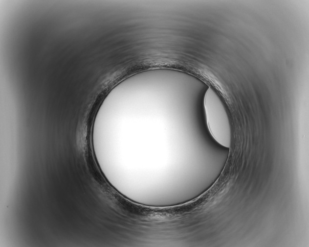 X0000096680490200802051033