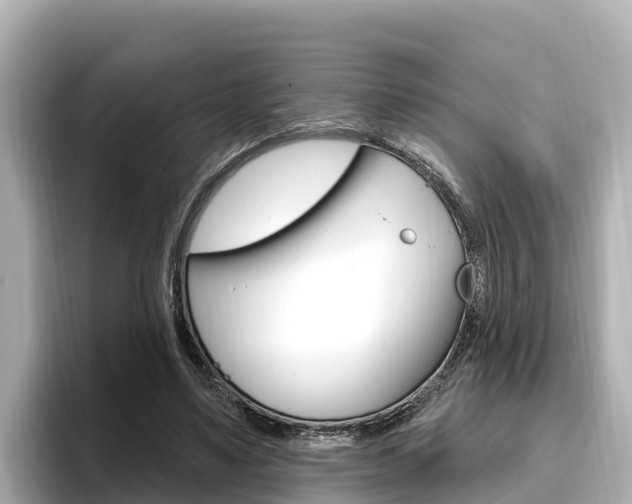 X0000096680491200802051033