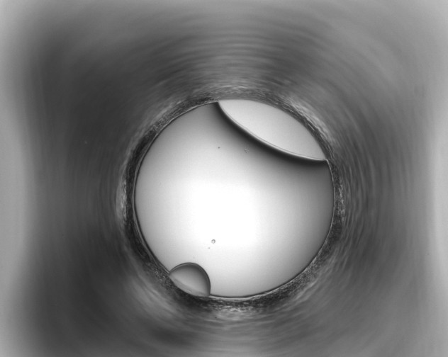 X0000096680494200802051033