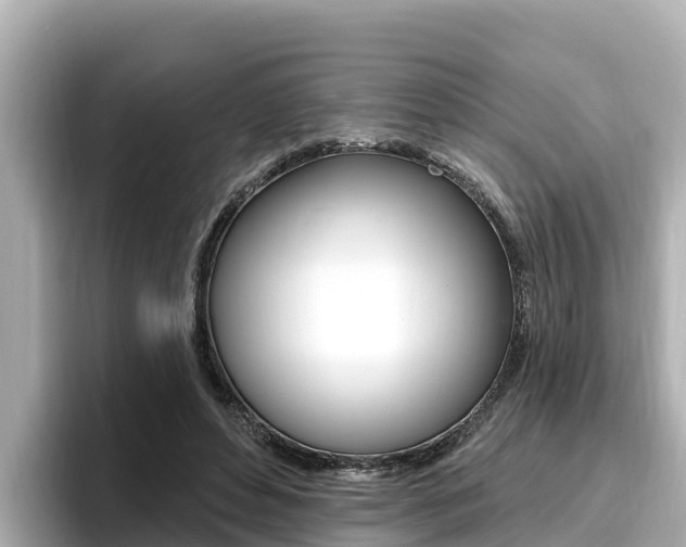 X0000096680496200802051033