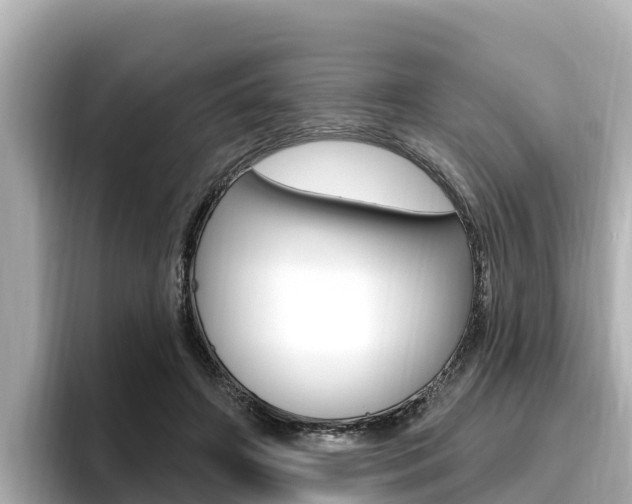X0000096680498200802051033
