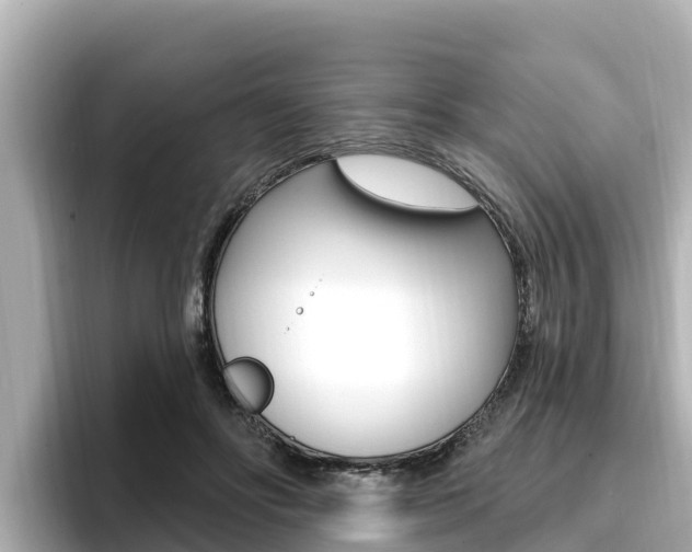 X0000096680502200802051032