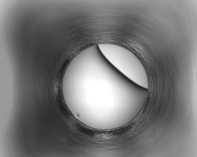 X0000096680503200802051032
