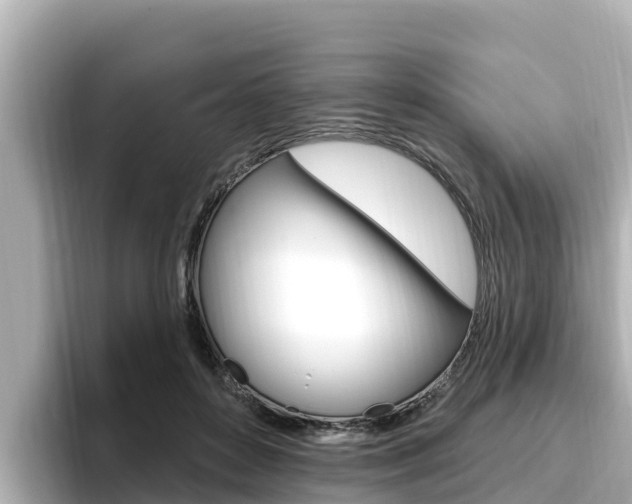 X0000096680504200802051032