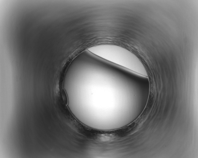 X0000096680508200802051032