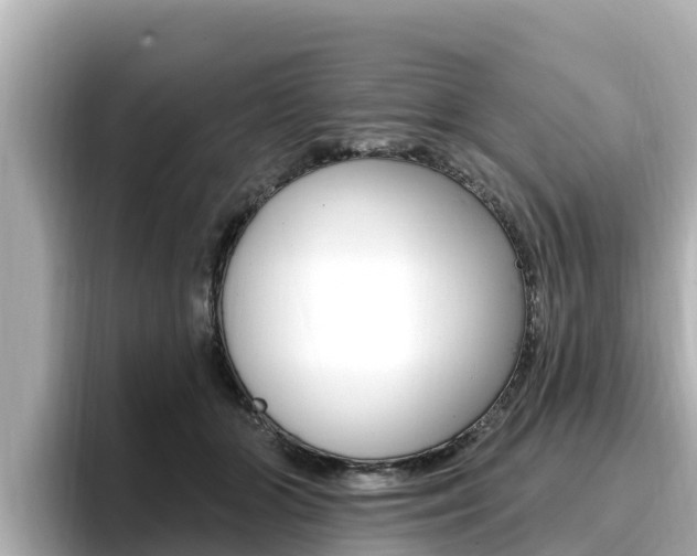 X0000096680510200802051032