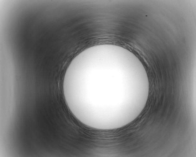 X0000096680512200802051032