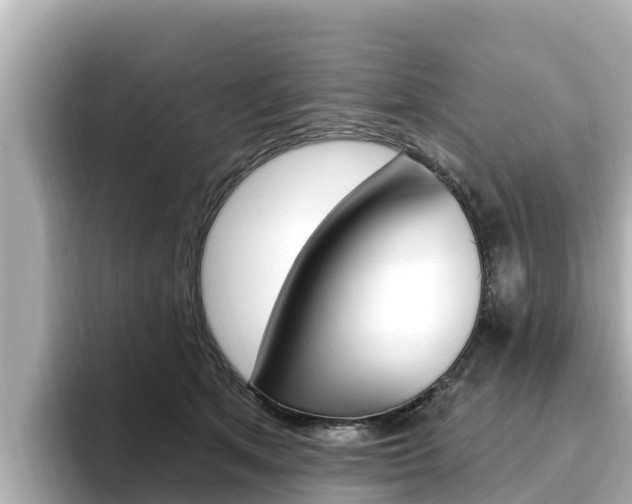 X0000096680513200802051032