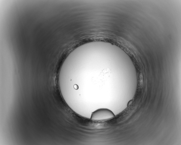 X0000096680514200802051032
