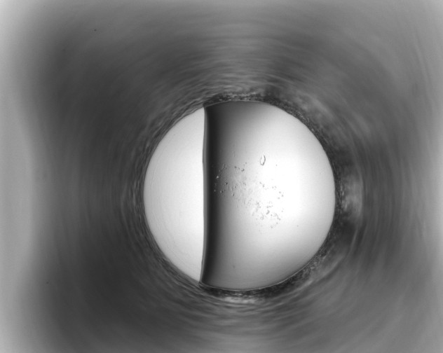 X0000096680515200802051032