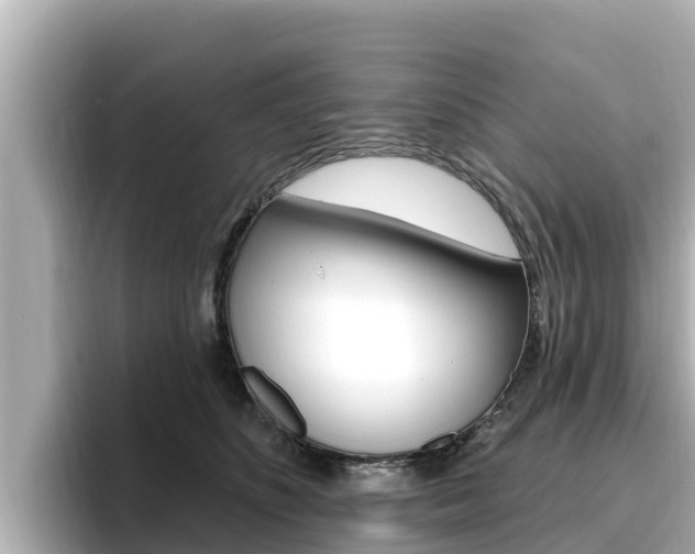 X0000096680516200802051032