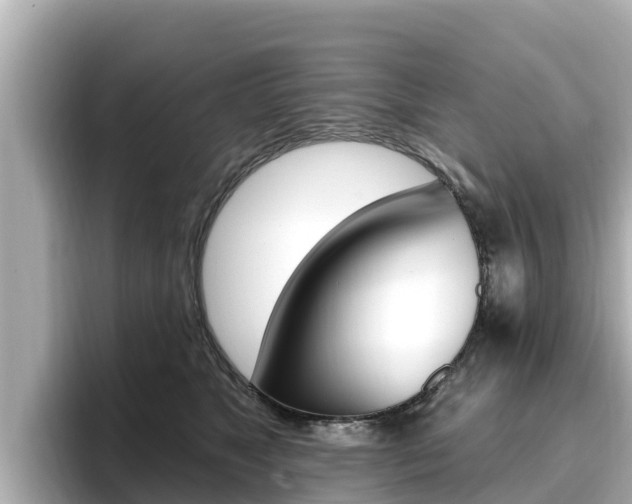 X0000096680517200802051032