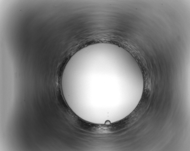 X0000096680518200802051032