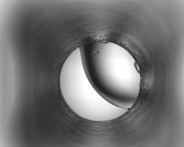 X0000096680521200802051032