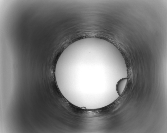 X0000096680522200802051032