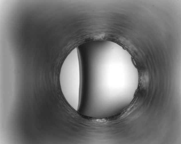 X0000096680525200802051032