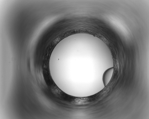 X0000096680526200802051032