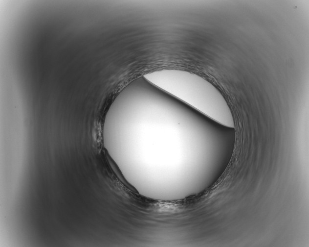 X0000096680528200802051032