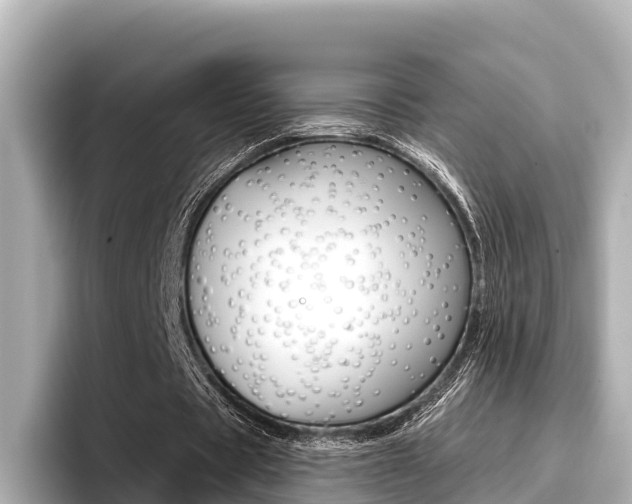 X0000096680529200802051031