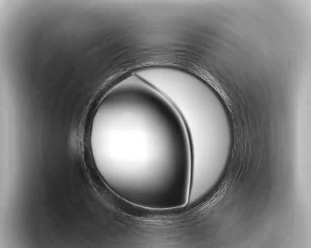 X0000096680530200802051032